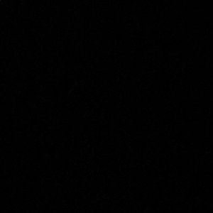 Meet your Posher, Jonah